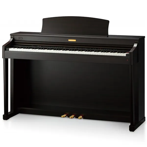 Music City – Tổng Kho Piano, Guitar, Organ | Dịch Vụ Giáo Dục Âm Nhạc