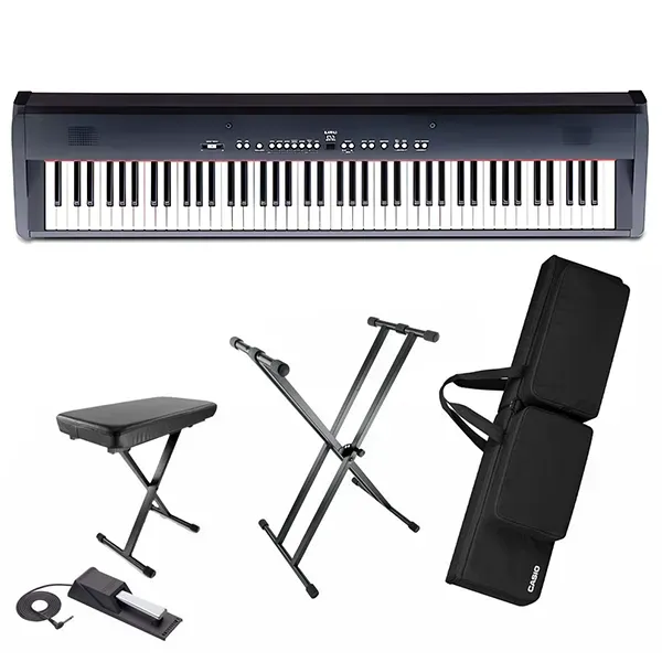 Music City – Tổng Kho Piano, Guitar, Organ | Dịch Vụ Giáo Dục Âm Nhạc