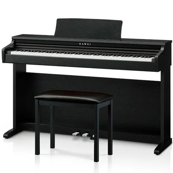 Music City – Tổng Kho Piano, Guitar, Organ | Dịch Vụ Giáo Dục Âm Nhạc