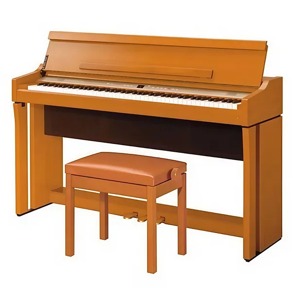 Music City – Tổng Kho Piano, Guitar, Organ | Dịch Vụ Giáo Dục Âm Nhạc