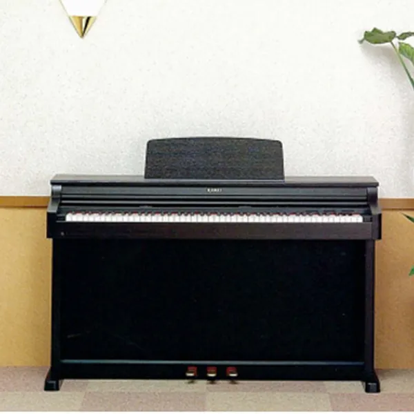 Music City – Tổng Kho Piano, Guitar, Organ | Dịch Vụ Giáo Dục Âm Nhạc