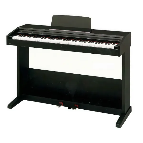 Music City – Tổng Kho Piano, Guitar, Organ | Dịch Vụ Giáo Dục Âm Nhạc