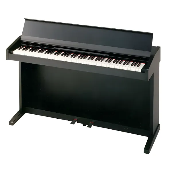 Music City – Tổng Kho Piano, Guitar, Organ | Dịch Vụ Giáo Dục Âm Nhạc