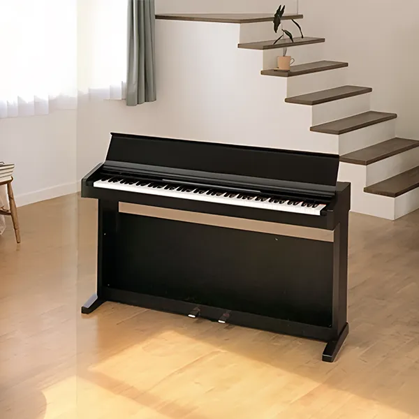 Music City – Tổng Kho Piano, Guitar, Organ | Dịch Vụ Giáo Dục Âm Nhạc
