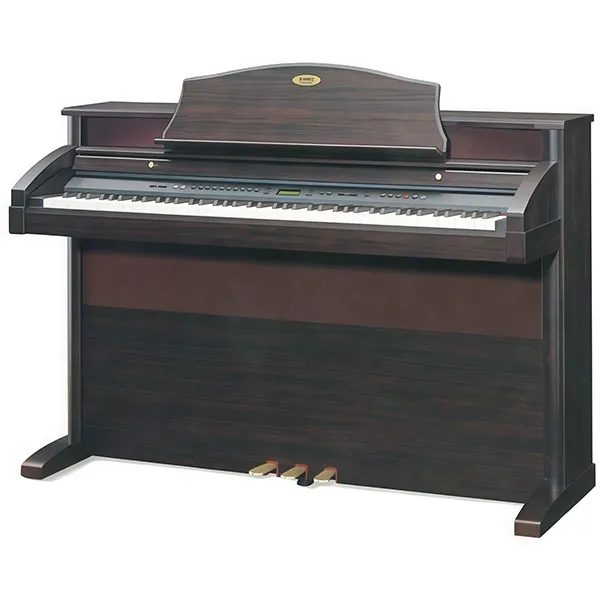 Music City – Tổng Kho Piano, Guitar, Organ | Dịch Vụ Giáo Dục Âm Nhạc