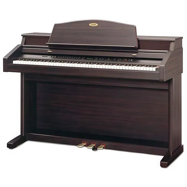 Music City – Tổng Kho Piano, Guitar, Organ | Dịch Vụ Giáo Dục Âm Nhạc