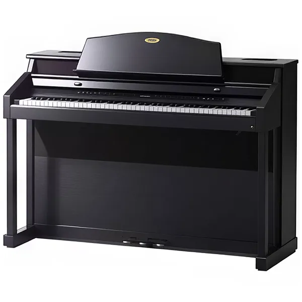 Music City – Tổng Kho Piano, Guitar, Organ | Dịch Vụ Giáo Dục Âm Nhạc