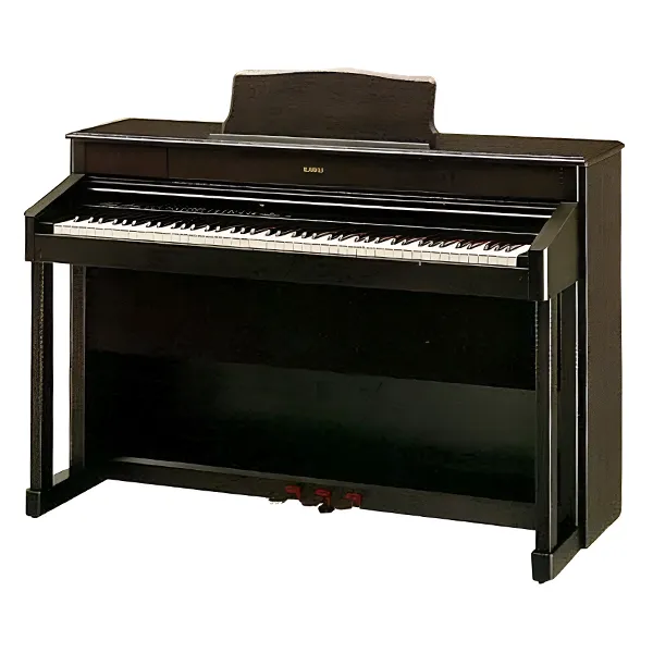 Music City – Tổng Kho Piano, Guitar, Organ | Dịch Vụ Giáo Dục Âm Nhạc