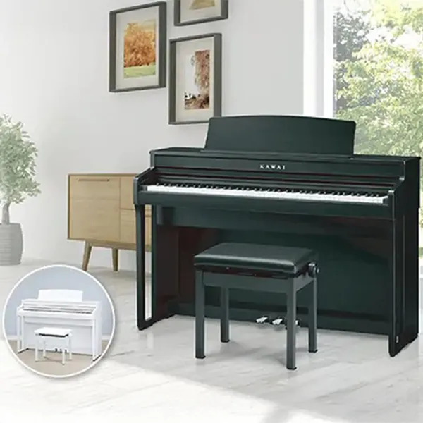 Music City – Tổng Kho Piano, Guitar, Organ | Dịch Vụ Giáo Dục Âm Nhạc