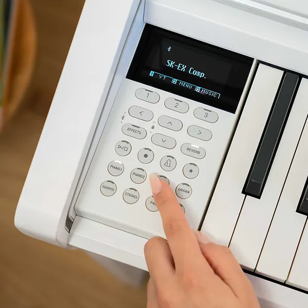 Music City – Tổng Kho Piano, Guitar, Organ | Dịch Vụ Giáo Dục Âm Nhạc