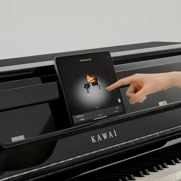 Music City – Tổng Kho Piano, Guitar, Organ | Dịch Vụ Giáo Dục Âm Nhạc