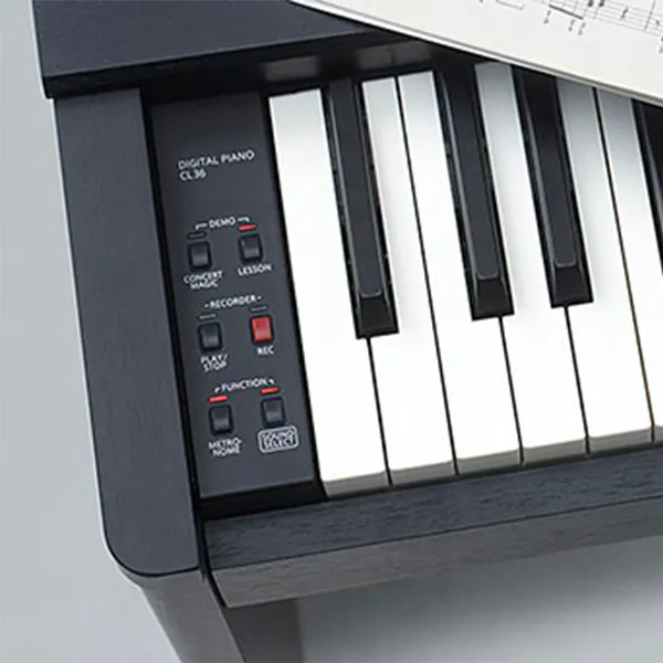 Music City – Tổng Kho Piano, Guitar, Organ | Dịch Vụ Giáo Dục Âm Nhạc