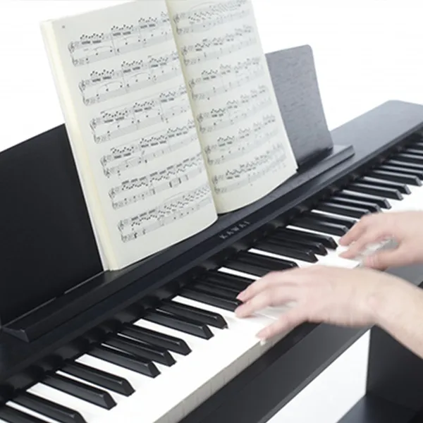 Music City – Tổng Kho Piano, Guitar, Organ | Dịch Vụ Giáo Dục Âm Nhạc