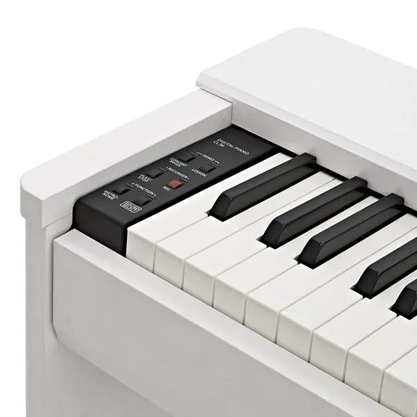 Music City – Tổng Kho Piano, Guitar, Organ | Dịch Vụ Giáo Dục Âm Nhạc