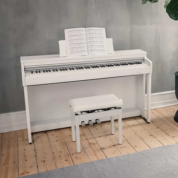 Music City – Tổng Kho Piano, Guitar, Organ | Dịch Vụ Giáo Dục Âm Nhạc