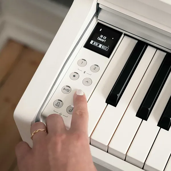 Music City – Tổng Kho Piano, Guitar, Organ | Dịch Vụ Giáo Dục Âm Nhạc