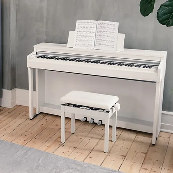 Music City – Tổng Kho Piano, Guitar, Organ | Dịch Vụ Giáo Dục Âm Nhạc
