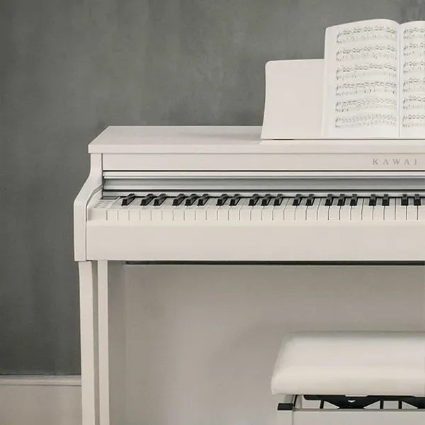 Music City – Tổng Kho Piano, Guitar, Organ | Dịch Vụ Giáo Dục Âm Nhạc