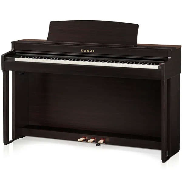 Music City – Tổng Kho Piano, Guitar, Organ | Dịch Vụ Giáo Dục Âm Nhạc