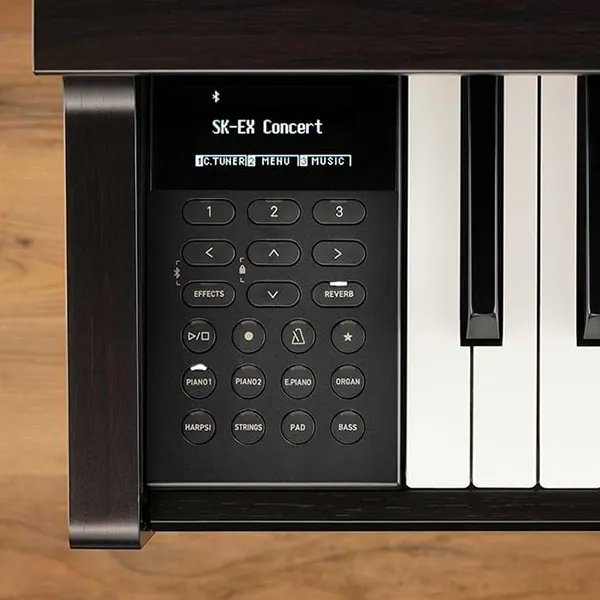 Music City – Tổng Kho Piano, Guitar, Organ | Dịch Vụ Giáo Dục Âm Nhạc
