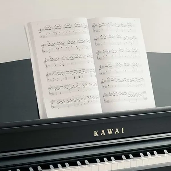 Music City – Tổng Kho Piano, Guitar, Organ | Dịch Vụ Giáo Dục Âm Nhạc