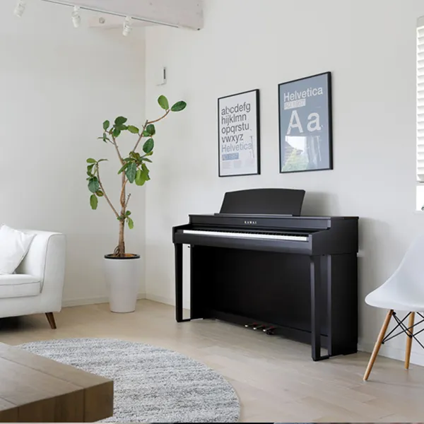 Music City – Tổng Kho Piano, Guitar, Organ | Dịch Vụ Giáo Dục Âm Nhạc