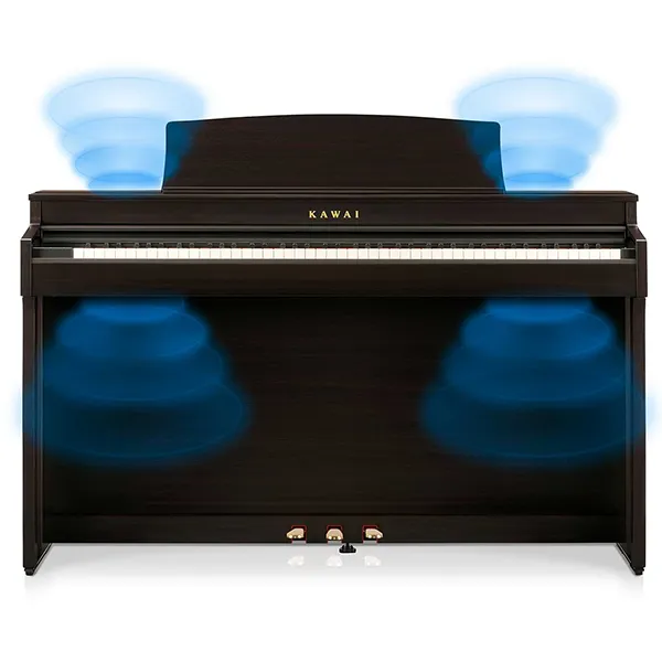 Music City – Tổng Kho Piano, Guitar, Organ | Dịch Vụ Giáo Dục Âm Nhạc