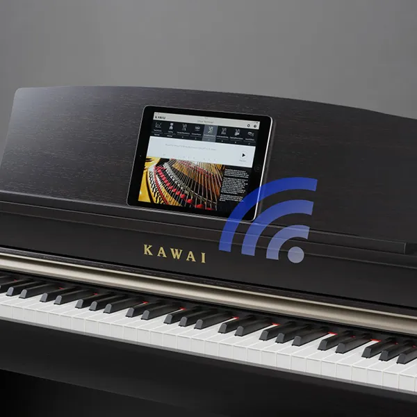 Music City – Tổng Kho Piano, Guitar, Organ | Dịch Vụ Giáo Dục Âm Nhạc