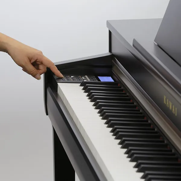 Music City – Tổng Kho Piano, Guitar, Organ | Dịch Vụ Giáo Dục Âm Nhạc