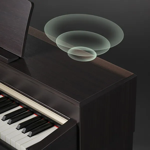 Music City – Tổng Kho Piano, Guitar, Organ | Dịch Vụ Giáo Dục Âm Nhạc