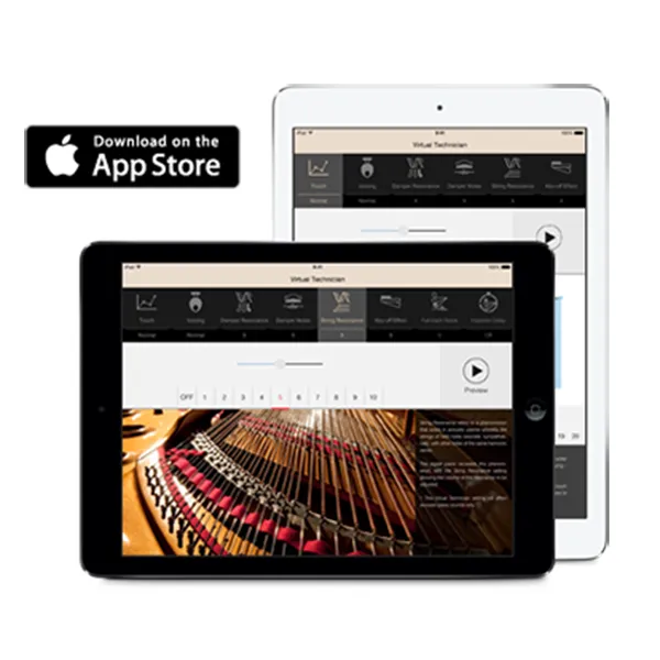 Music City – Tổng Kho Piano, Guitar, Organ | Dịch Vụ Giáo Dục Âm Nhạc