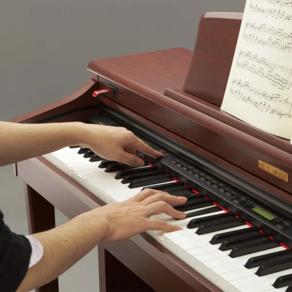 Music City – Tổng Kho Piano, Guitar, Organ | Dịch Vụ Giáo Dục Âm Nhạc