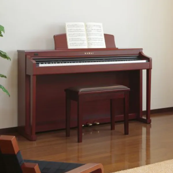 Music City – Tổng Kho Piano, Guitar, Organ | Dịch Vụ Giáo Dục Âm Nhạc