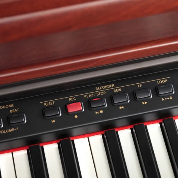 Music City – Tổng Kho Piano, Guitar, Organ | Dịch Vụ Giáo Dục Âm Nhạc