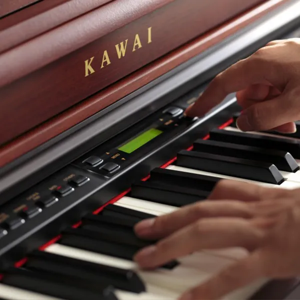 Music City – Tổng Kho Piano, Guitar, Organ | Dịch Vụ Giáo Dục Âm Nhạc