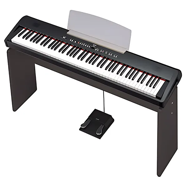 Music City – Tổng Kho Piano, Guitar, Organ | Dịch Vụ Giáo Dục Âm Nhạc