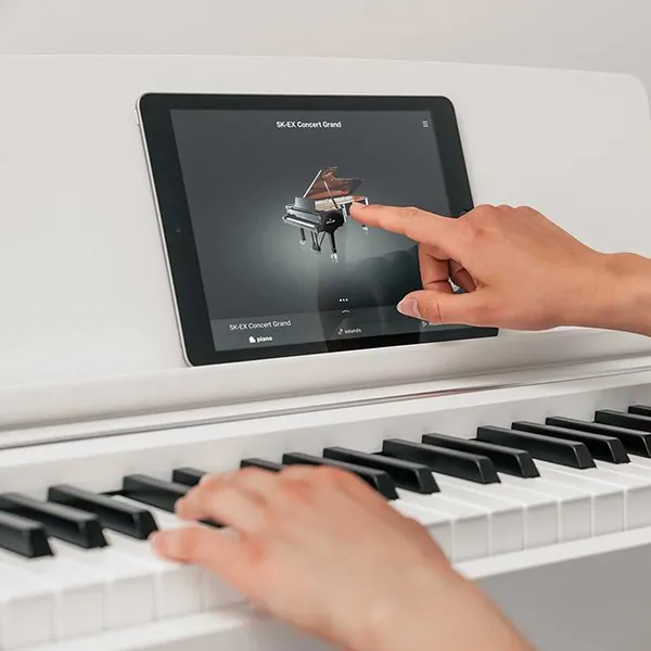 Music City – Tổng Kho Piano, Guitar, Organ | Dịch Vụ Giáo Dục Âm Nhạc