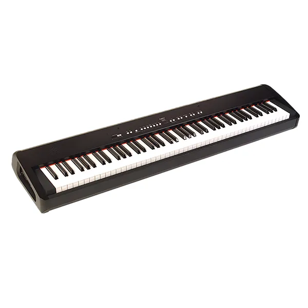 Music City – Tổng Kho Piano, Guitar, Organ | Dịch Vụ Giáo Dục Âm Nhạc