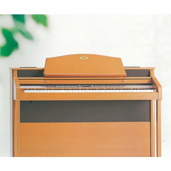 Music City – Tổng Kho Piano, Guitar, Organ | Dịch Vụ Giáo Dục Âm Nhạc