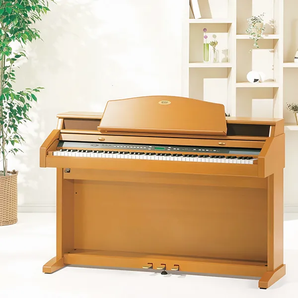 Music City – Tổng Kho Piano, Guitar, Organ | Dịch Vụ Giáo Dục Âm Nhạc