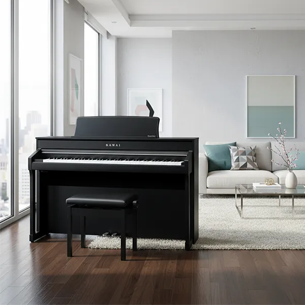 Music City – Tổng Kho Piano, Guitar, Organ | Dịch Vụ Giáo Dục Âm Nhạc