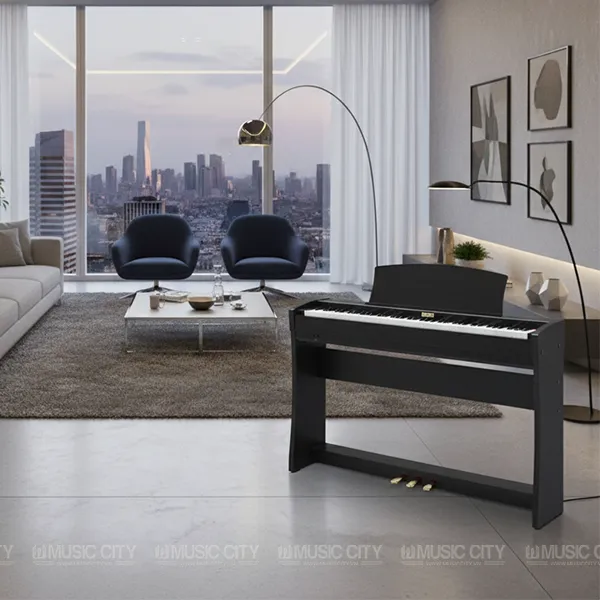 Music City – Tổng Kho Piano, Guitar, Organ | Dịch Vụ Giáo Dục Âm Nhạc