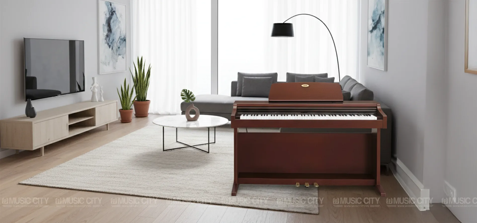 Music City – Tổng Kho Piano, Guitar, Organ | Dịch Vụ Giáo Dục Âm Nhạc