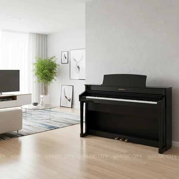 Music City – Tổng Kho Piano, Guitar, Organ | Dịch Vụ Giáo Dục Âm Nhạc