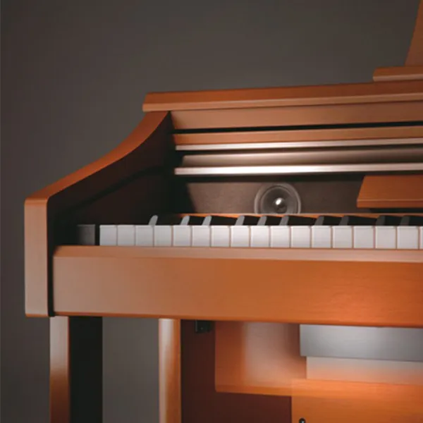 Music City – Tổng Kho Piano, Guitar, Organ | Dịch Vụ Giáo Dục Âm Nhạc