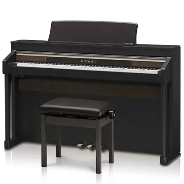 Music City – Tổng Kho Piano, Guitar, Organ | Dịch Vụ Giáo Dục Âm Nhạc