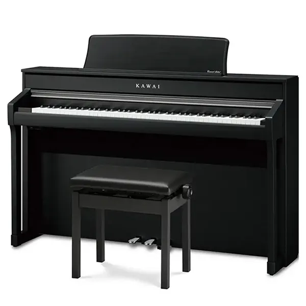 Music City – Tổng Kho Piano, Guitar, Organ | Dịch Vụ Giáo Dục Âm Nhạc