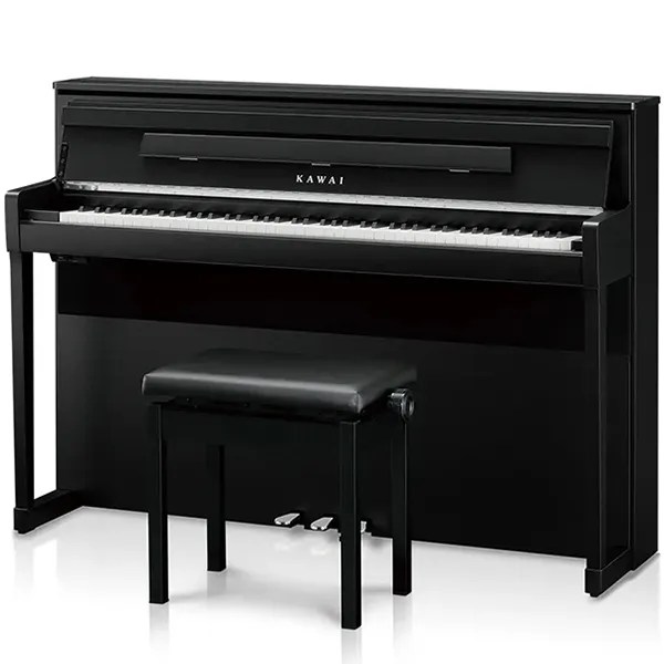 Music City – Tổng Kho Piano, Guitar, Organ | Dịch Vụ Giáo Dục Âm Nhạc