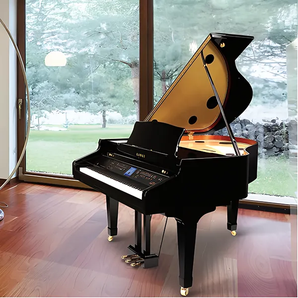 Music City – Tổng Kho Piano, Guitar, Organ | Dịch Vụ Giáo Dục Âm Nhạc