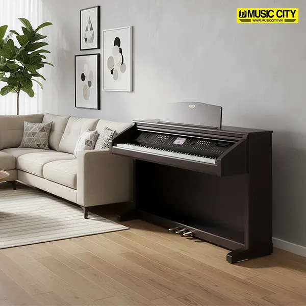 Music City – Tổng Kho Piano, Guitar, Organ | Dịch Vụ Giáo Dục Âm Nhạc